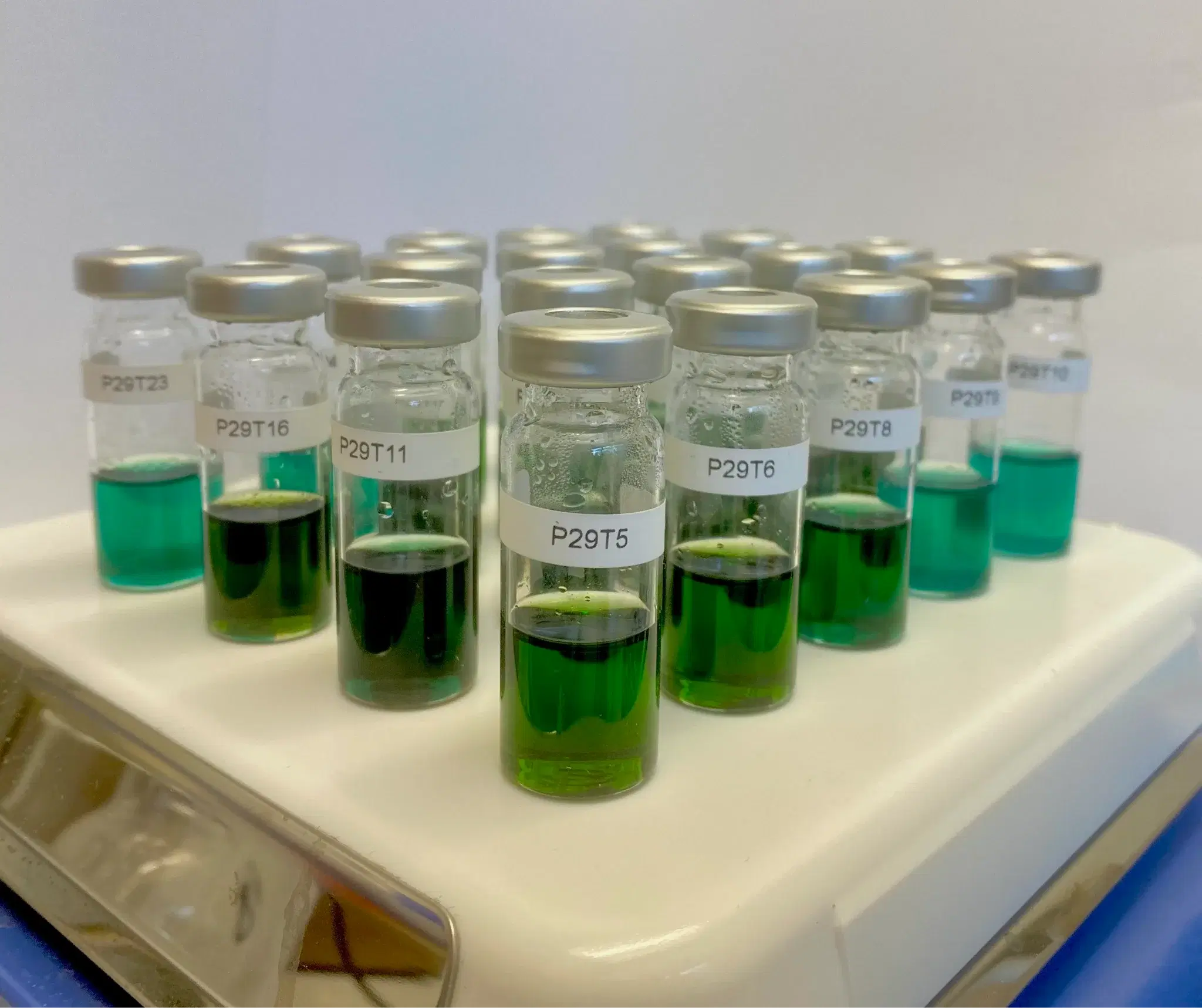 Vials from the larger-scale bench experiments performed on October 8, 2026